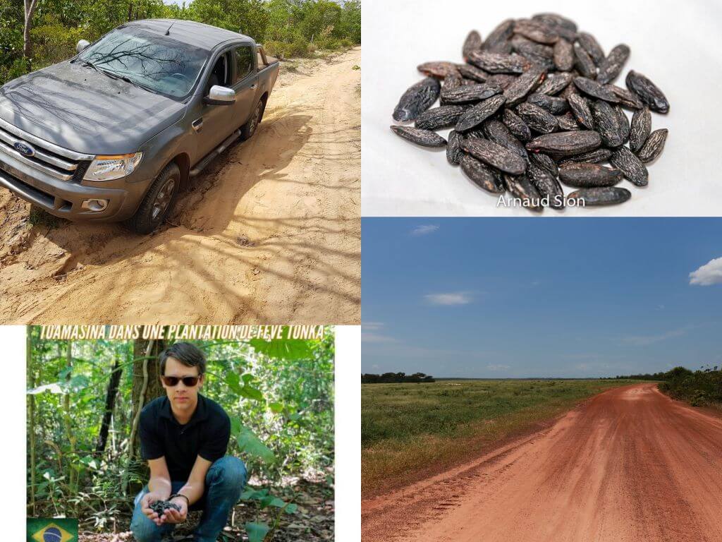  fève au Parfum vanillé-amandé  - Chercheur de fève tonka